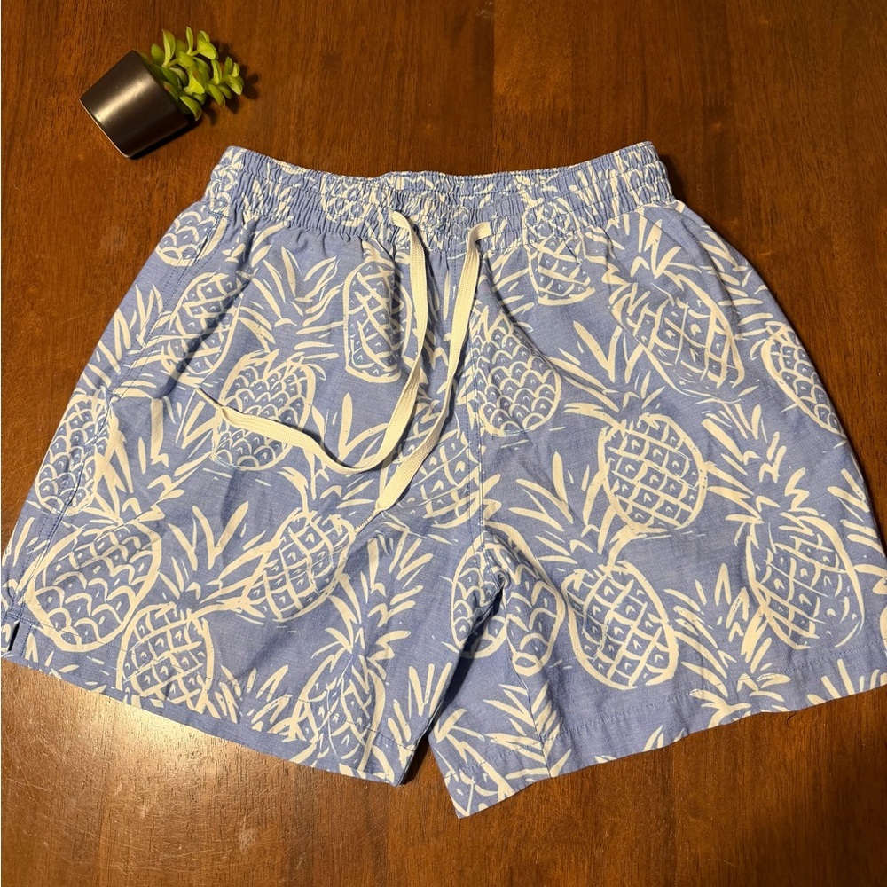 Chubbies The Thigh-napples Pineapple Print Blue & White  Swim Trunks Small